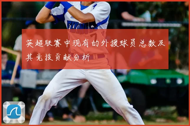 英超联赛中现有的外援球员总数及其竞技贡献分析