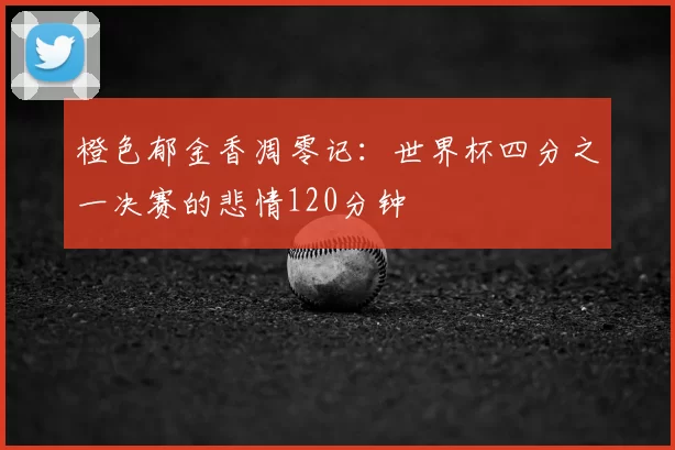 橙色郁金香凋零记：世界杯四分之一决赛的悲情120分钟