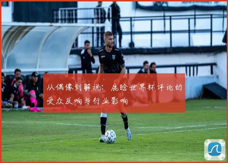 从偶像到解说:鹿晗世界杯评论的受众反响与行业影响