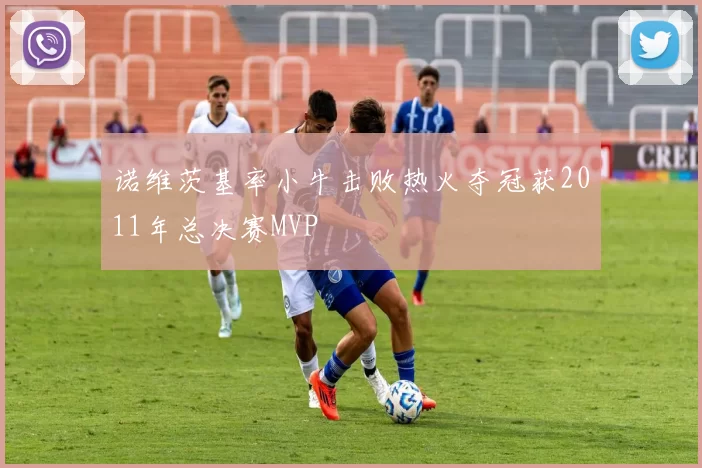 诺维茨基率小牛击败热火夺冠获2011年总决赛MVP