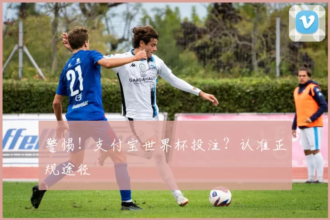 警惕!支付宝世界杯投注?认准正规途径