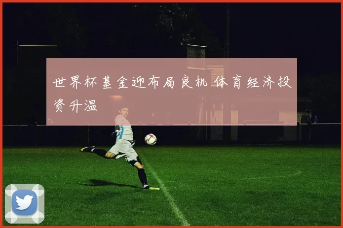 世界杯基金迎布局良机 体育经济投资升温