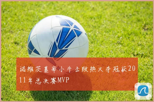 诺维茨基率小牛击败热火夺冠获2011年总决赛MVP