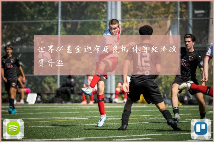 世界杯基金迎布局良机 体育经济投资升温