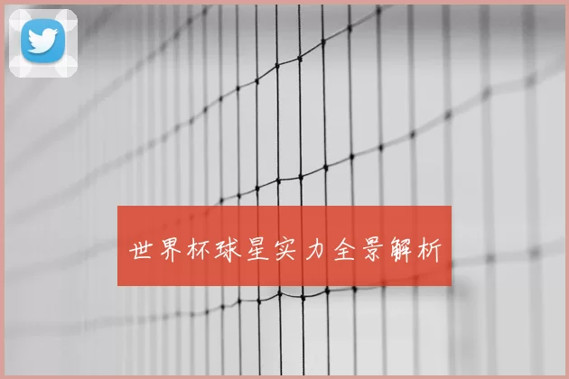 世界杯球星实力全景解析