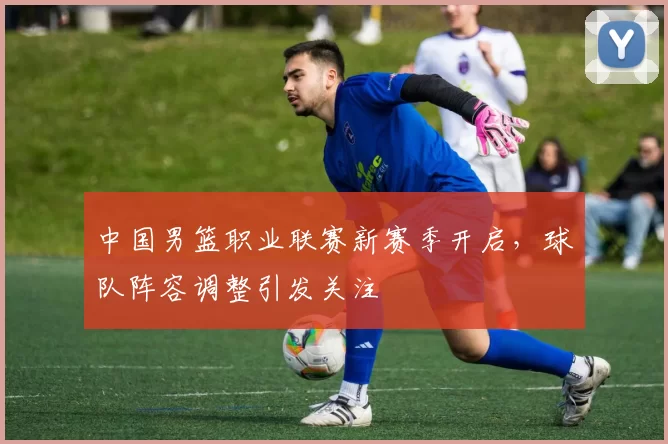 中国男篮职业联赛新赛季开启，球队阵容调整引发关注