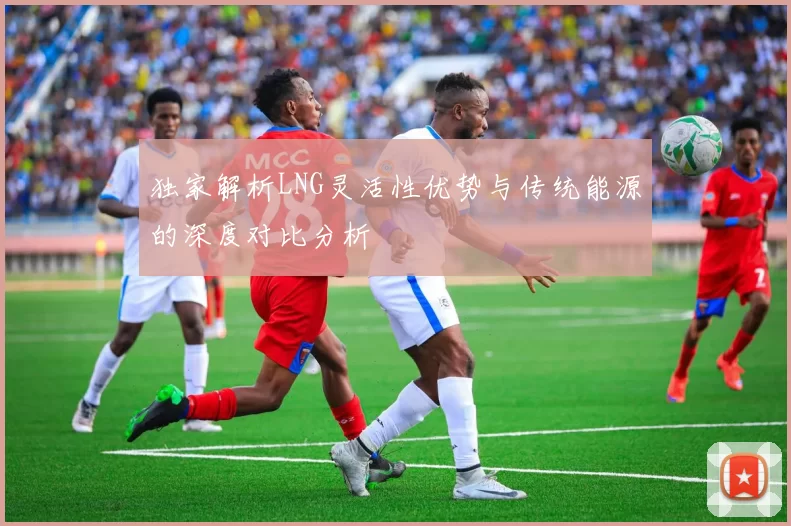 独家解析LNG灵活性优势与传统能源的深度对比分析