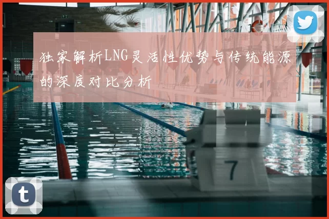 独家解析LNG灵活性优势与传统能源的深度对比分析