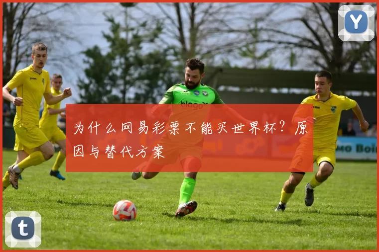 为什么网易彩票不能买世界杯?原因与替代方案