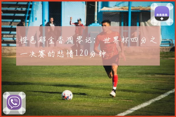 橙色郁金香凋零记：世界杯四分之一决赛的悲情120分钟