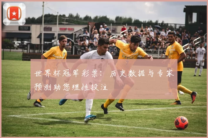 世界杯冠军彩票：历史数据与专家预测助您理性投注