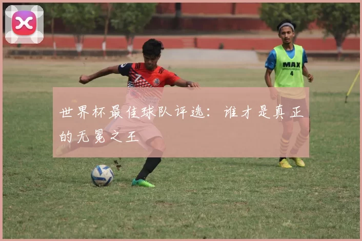 世界杯最佳球队评选：谁才是真正的无冕之王