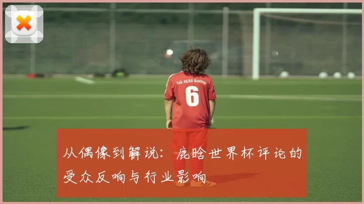从偶像到解说:鹿晗世界杯评论的受众反响与行业影响