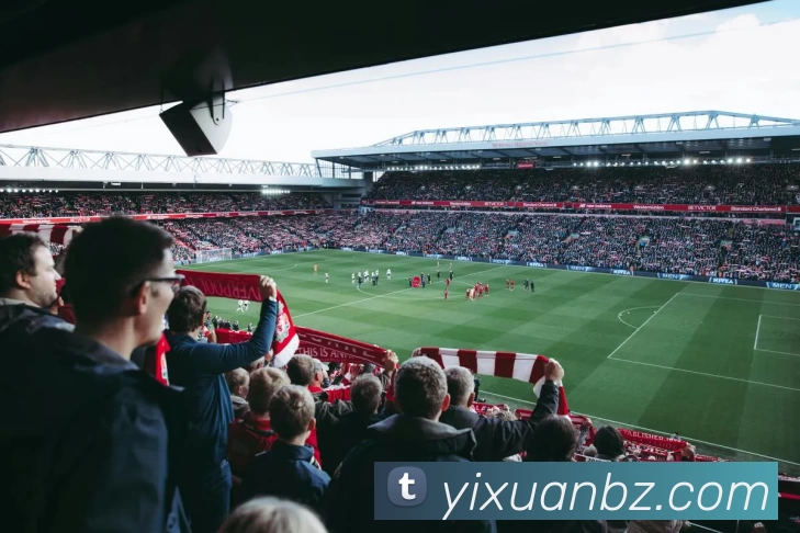 星空体育平台生态图