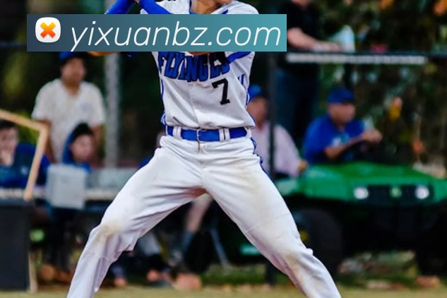 辅助工具 辅助工具